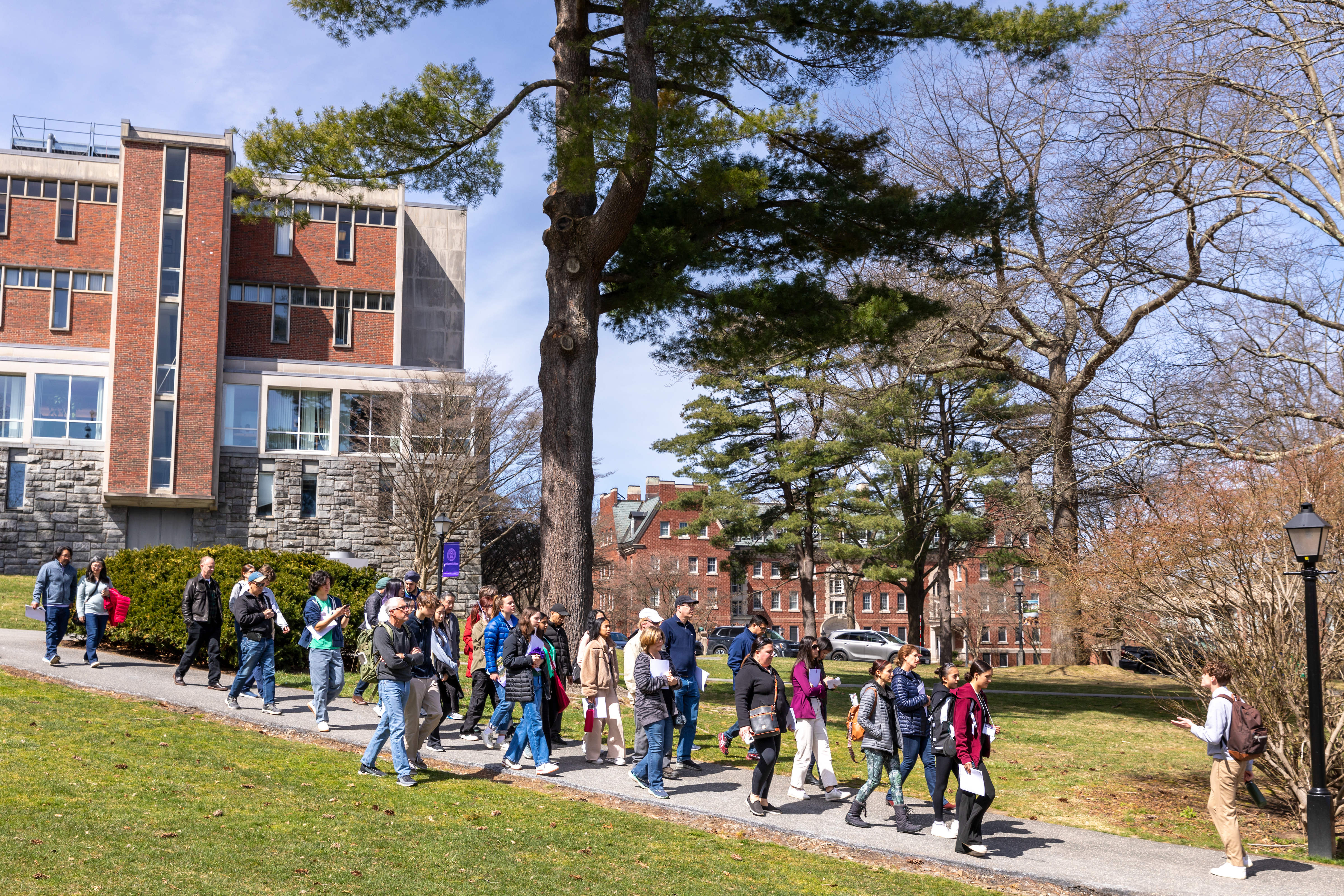 A large group of people walking on a path during a campus tour on Admitted Students Day at Amherst College campus.