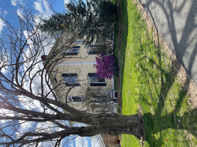 Grosvenor House in spring