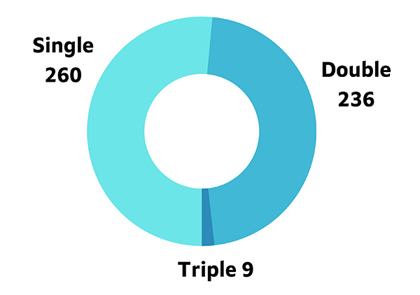 A pie chart: single 260; double 236; triple 9