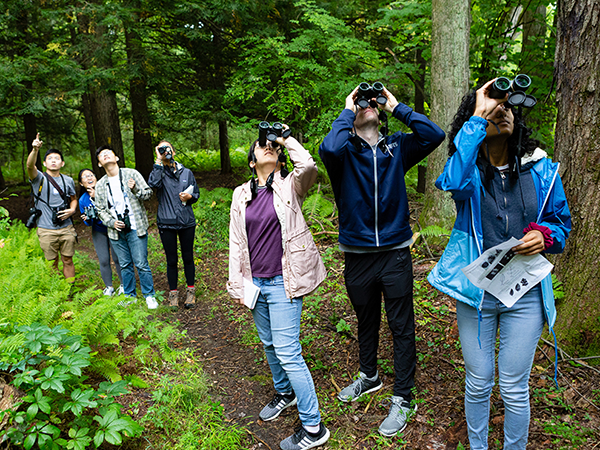 People looking up with binoculars in a dense forest