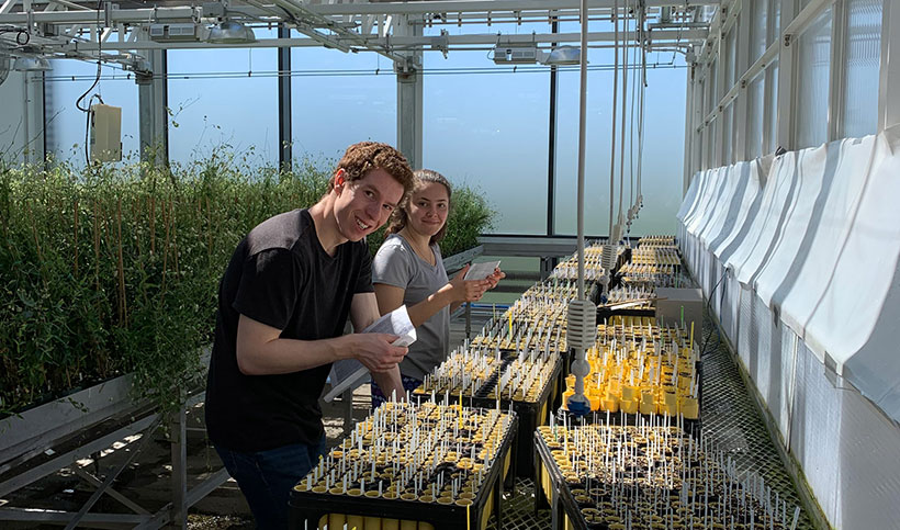 two students working in the greenhouse at amherst college