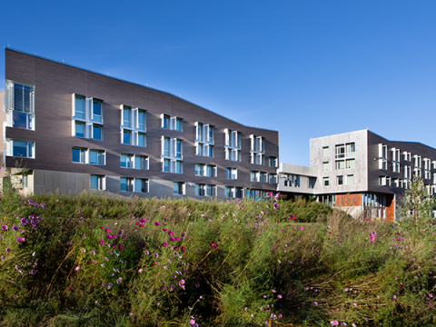 Photo of Greenway Residence Halls exterior with wildflowers in foreground