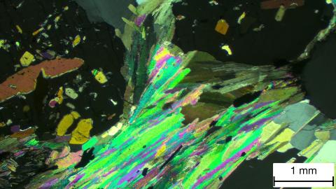 Thin Section