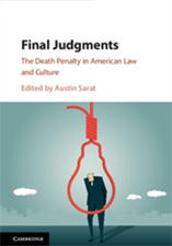 Book cover for Final Judgments
